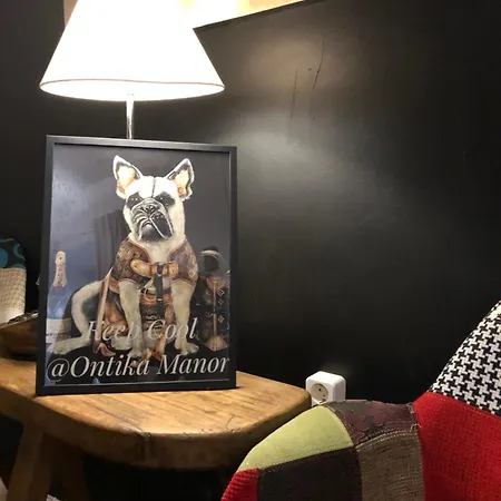 Ontika Guesthouse * Ontika Asundus