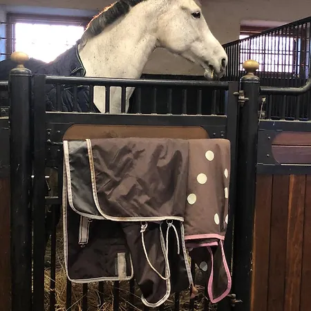 Affittacamere Ontika Guesthouse *