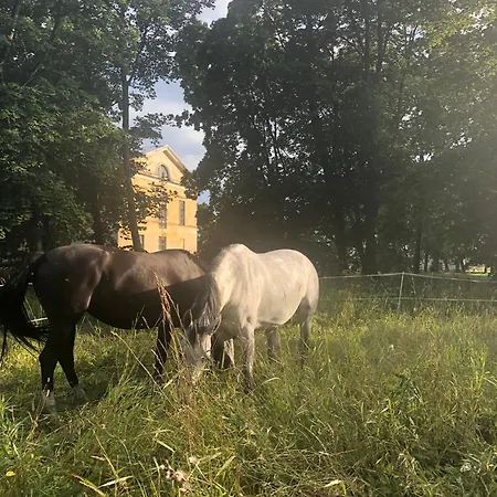 Ontika Guesthouse Pensionat *