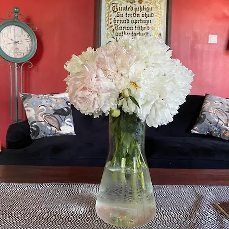 Ontika Guesthouse Pensionat