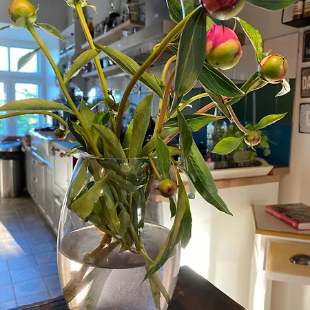 Ontika Guesthouse Pensionat Ontika Asundus