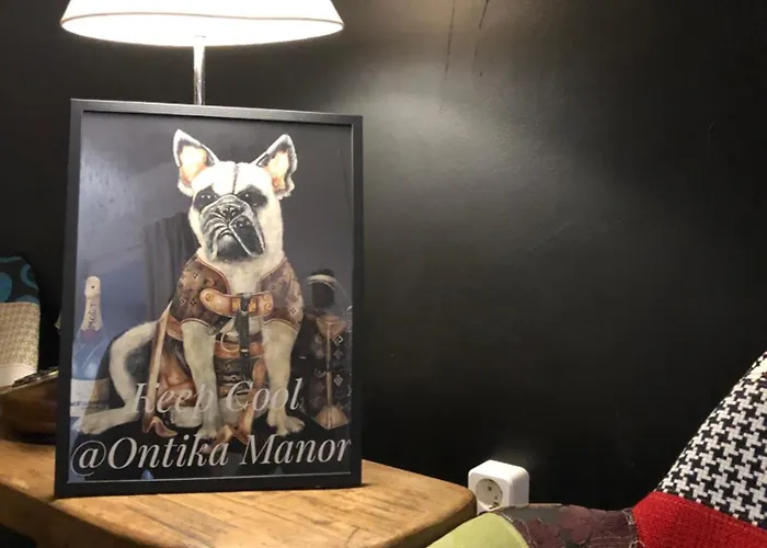 Ontika Guesthouse * Ontika Asundus