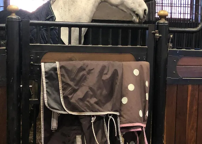 Pensjonat Ontika Guesthouse *