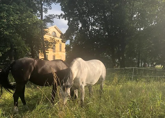 Ontika Guesthouse Pensjonat *