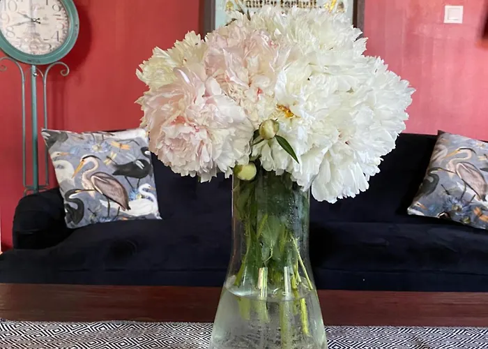 Ontika Guesthouse Pensjonat