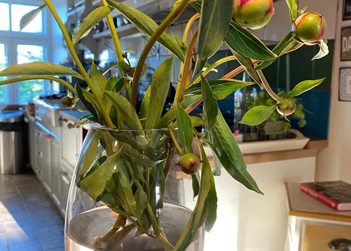 Ontika Guesthouse Pensjonat Ontika Asundus